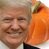 Melon Musk and Donald Pump