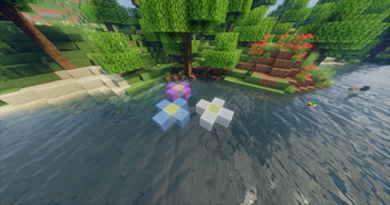 Flowers2