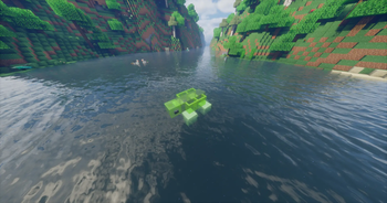 Turtle