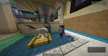 Gyms