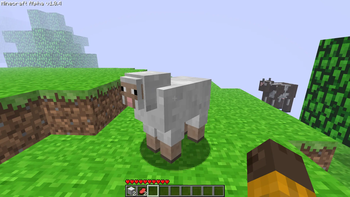 Sheep