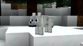 Snowy Wolf