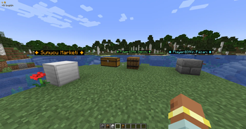 Block's and Linked Storage