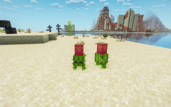 Cactus Chek