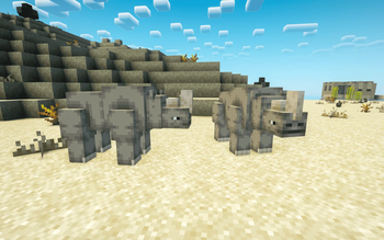 Rhino