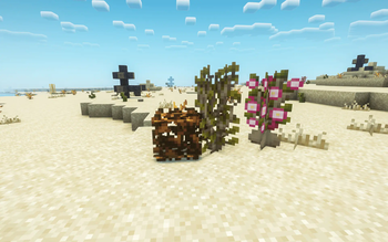 Plants