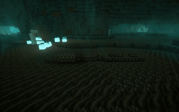 Soil Blocks