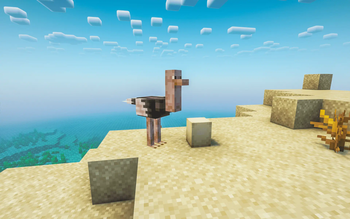 Ostrich and Ostrich Egg