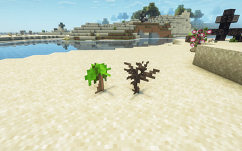 Saplings