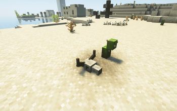 Cow skull and Cactus