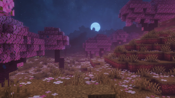Solas Shader