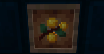 Golden Berries