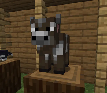 Cow