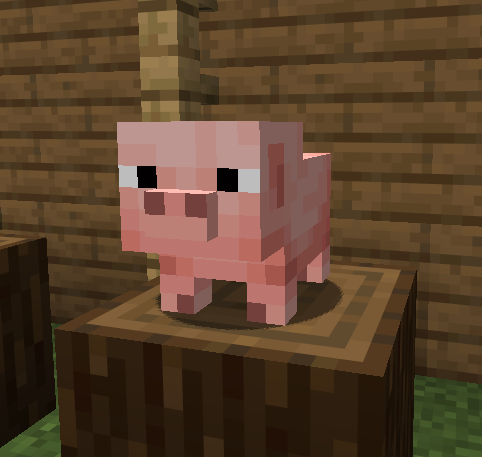 Pig