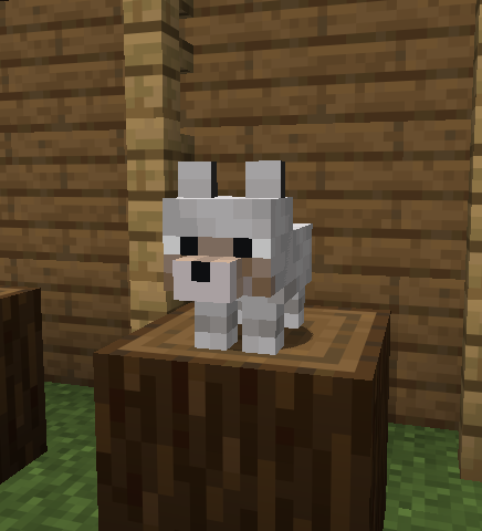 Wolf