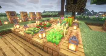 Crops compatible with planting pots