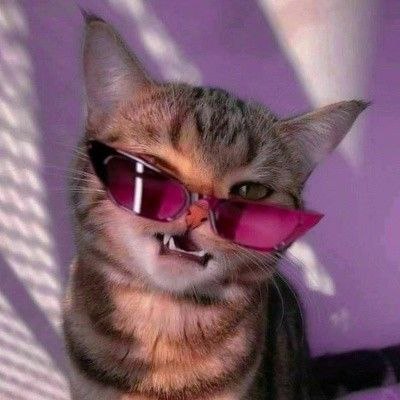 Cat Fps