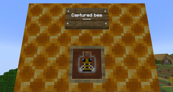 Captured bee