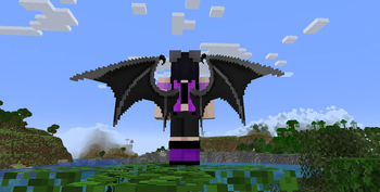 Ender Dragon Wings