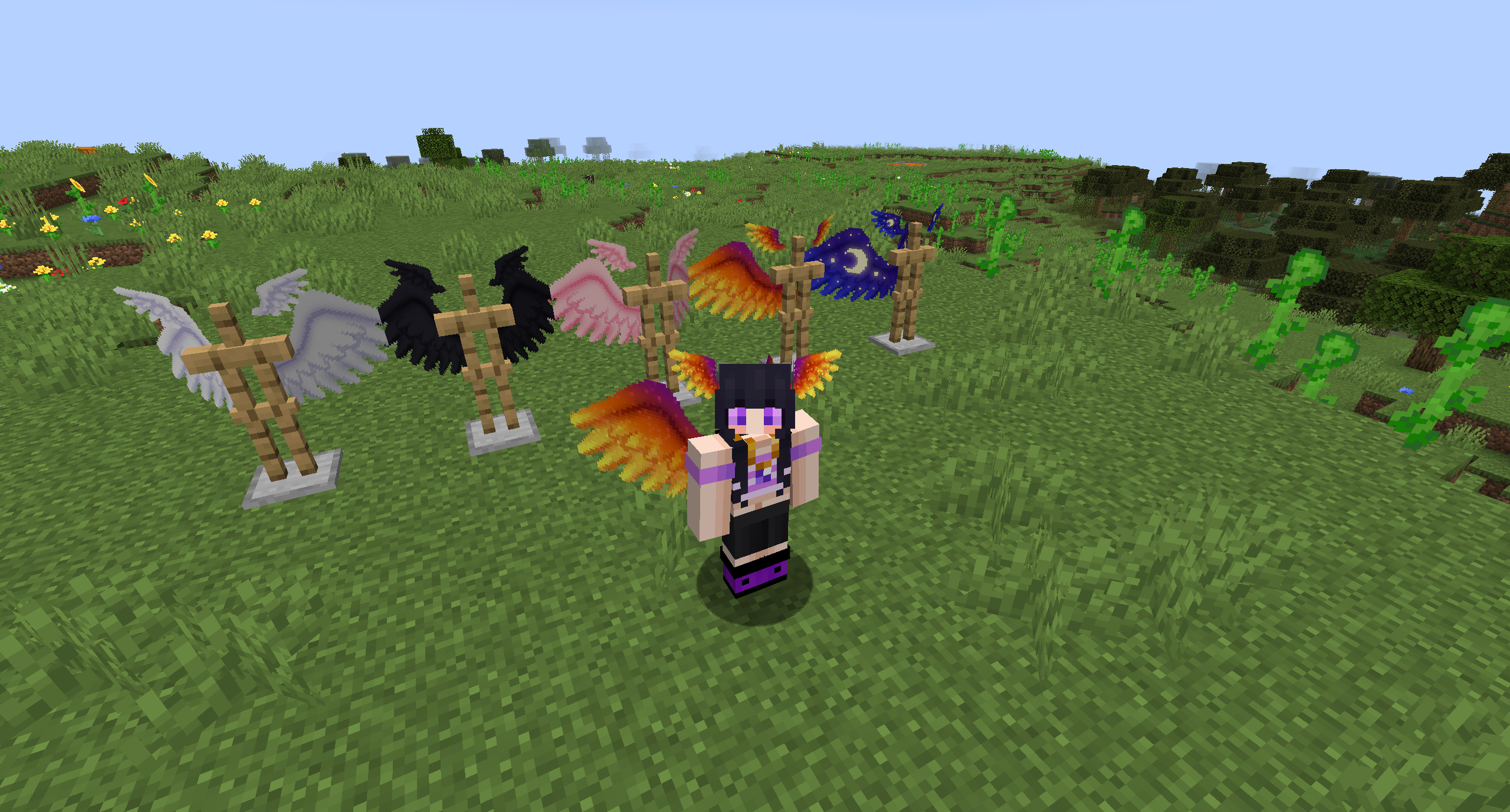 Current Head Wings Added