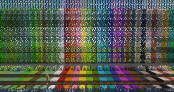 Some of the Colors
