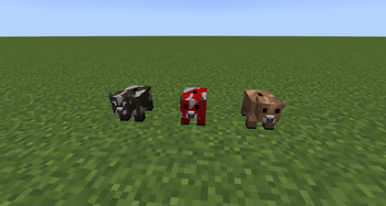 Cow Coin Banks