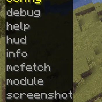 client commands