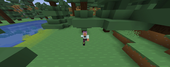 Running with AutoSprint actively enabled.