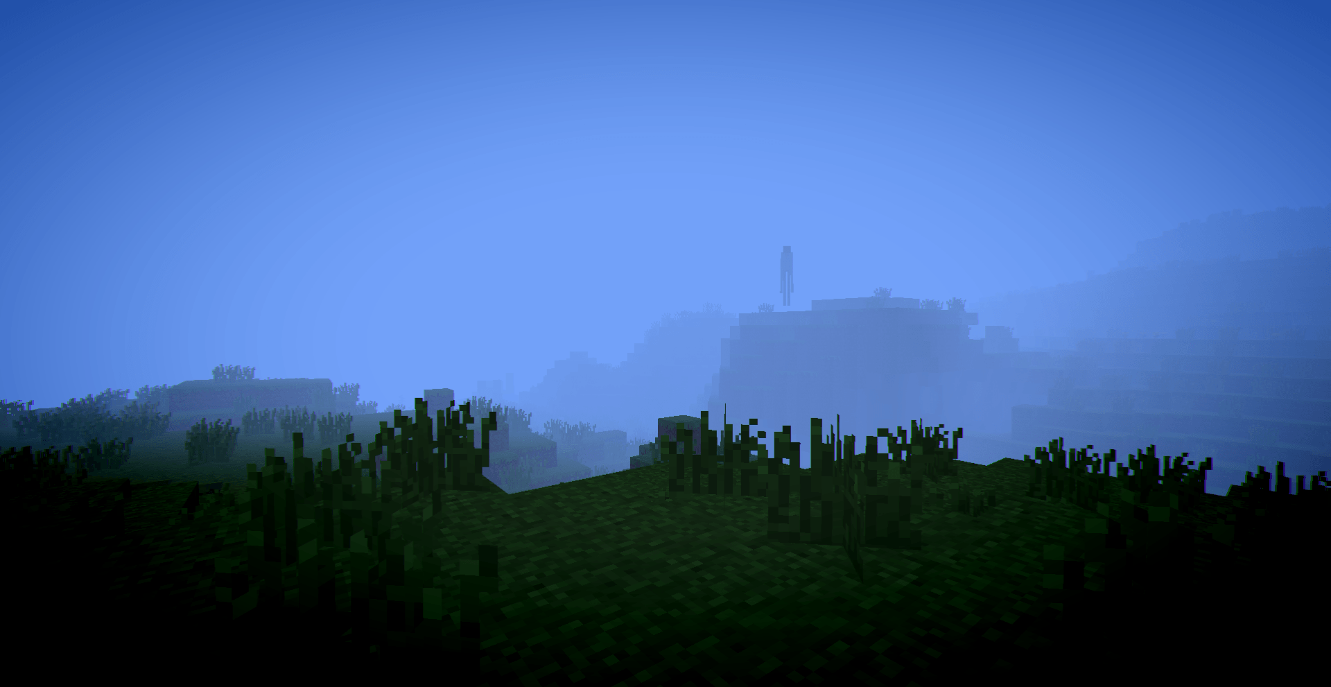 In the fog