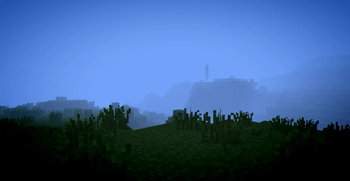 In the fog
