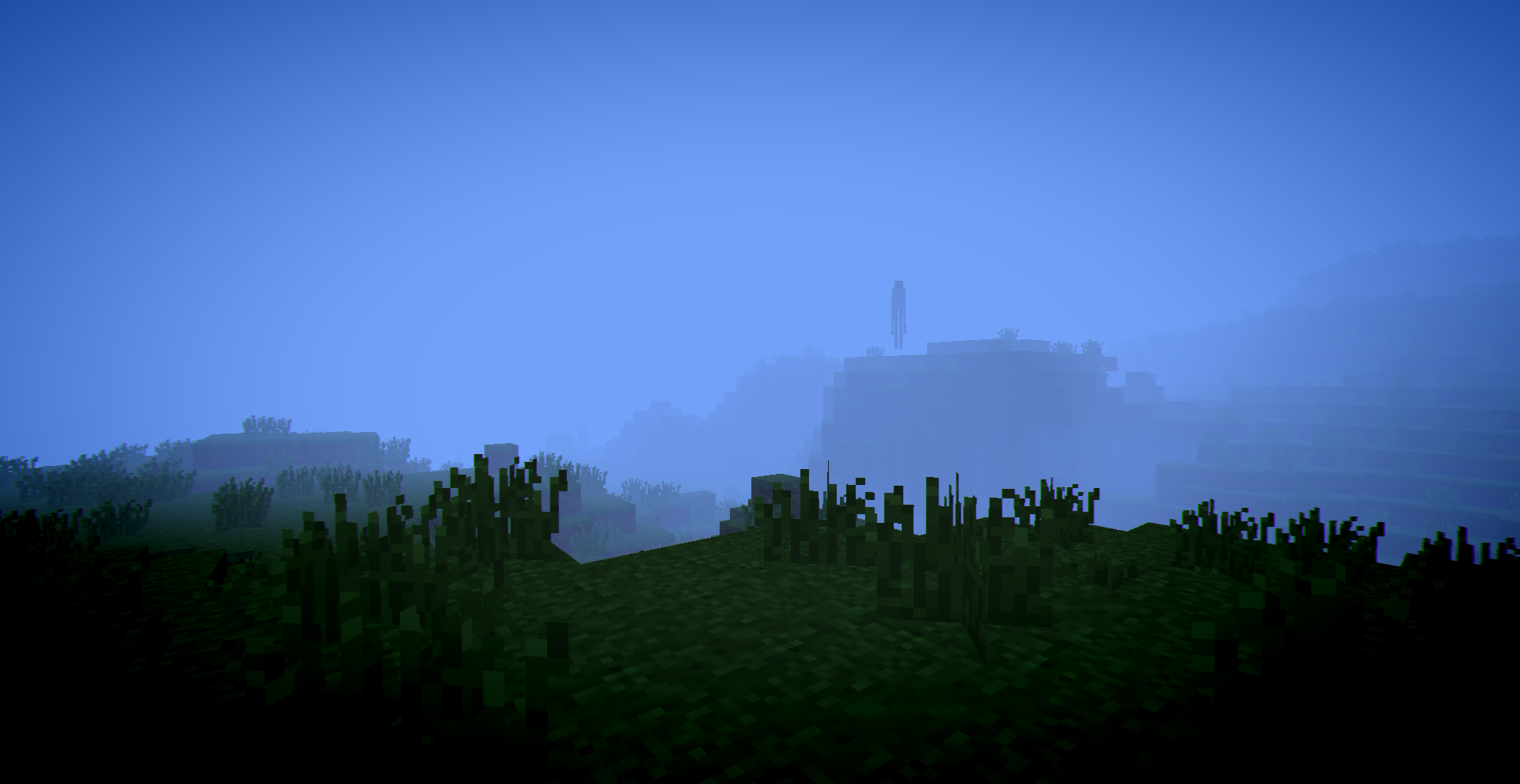 In the fog