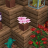 More Potted Plants