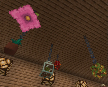 hanging potted plants!