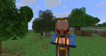 Stoopid Villagers