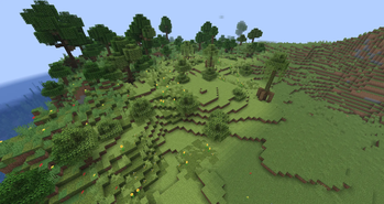 Forest Meadow