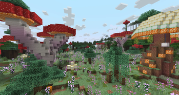 Mushroom Paradise