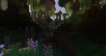 Enchanted Forest