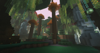 Enchanted Forest