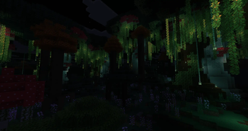 Enchanted Forest