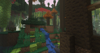 Enchanted Forest