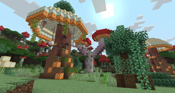 Mushroom Paradise