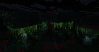 Enchanted Forest