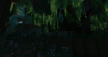 Enchanted Forest