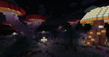 Mushroom Paradise
