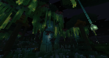 Enchanted Forest