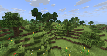 Forest Meadow