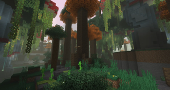 Enchanted Forest