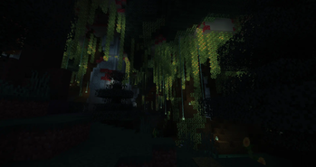 Enchanted Forest