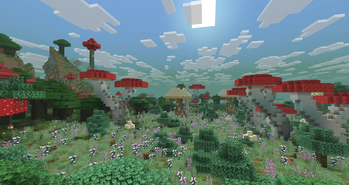 Mushroom Paradise