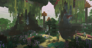 Enchanted Forest